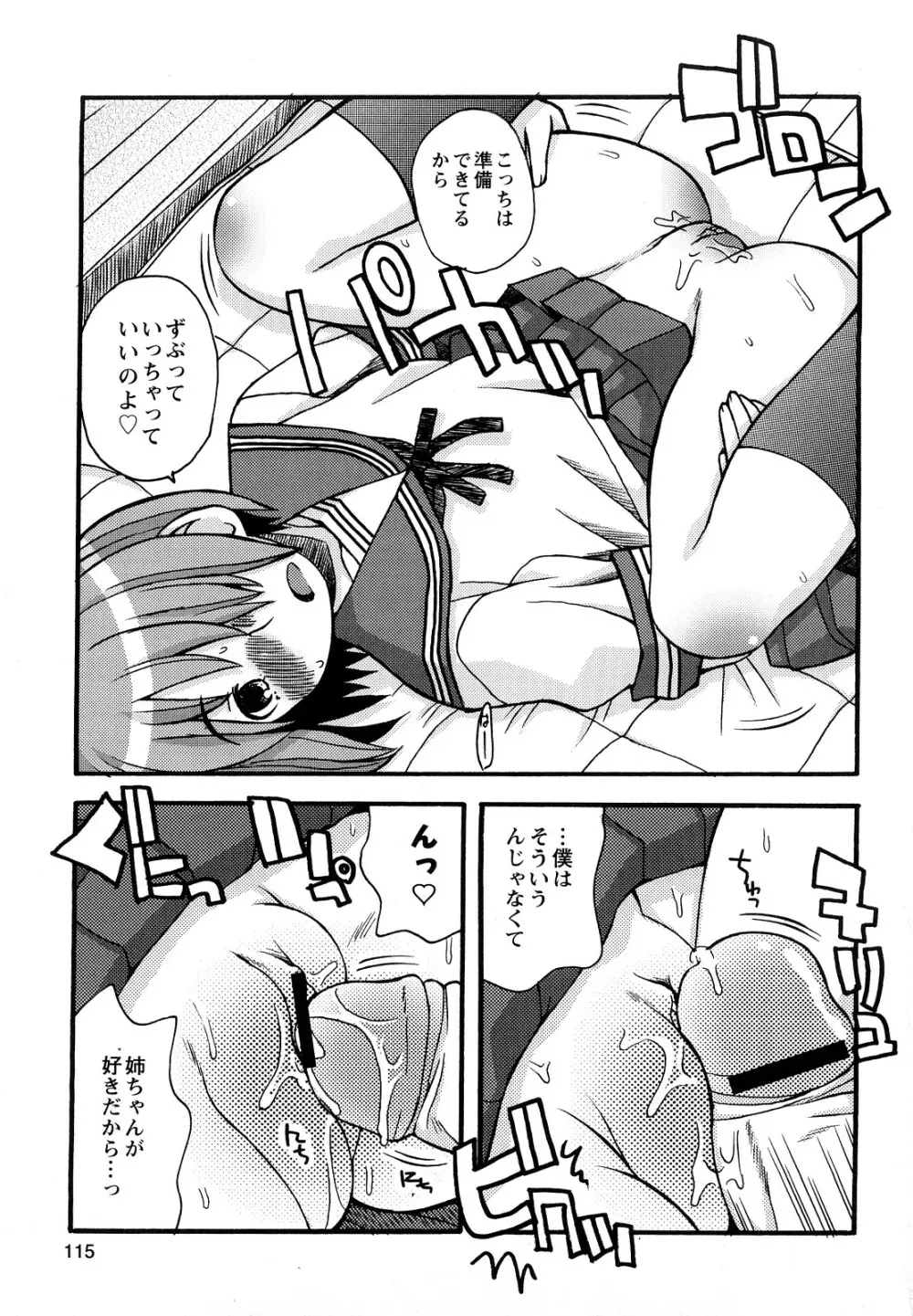 ぼくだって姉とセックスしてみたい! Page.117