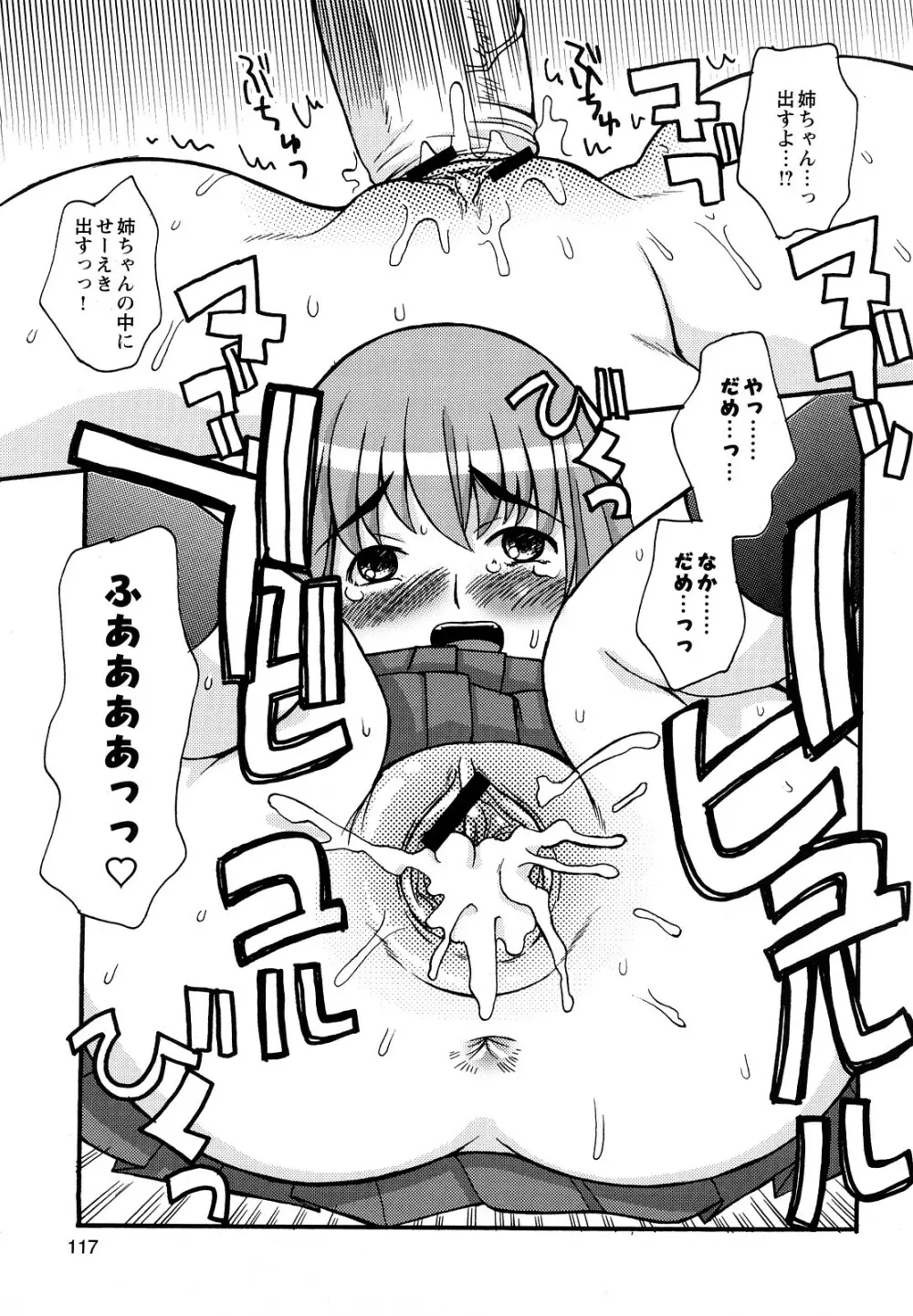 ぼくだって姉とセックスしてみたい! Page.119