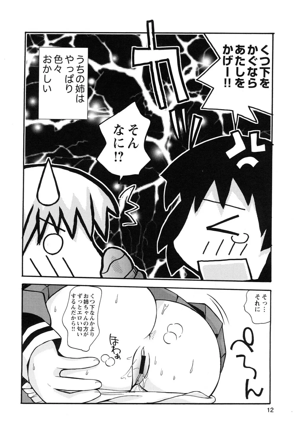 ぼくだって姉とセックスしてみたい! Page.14