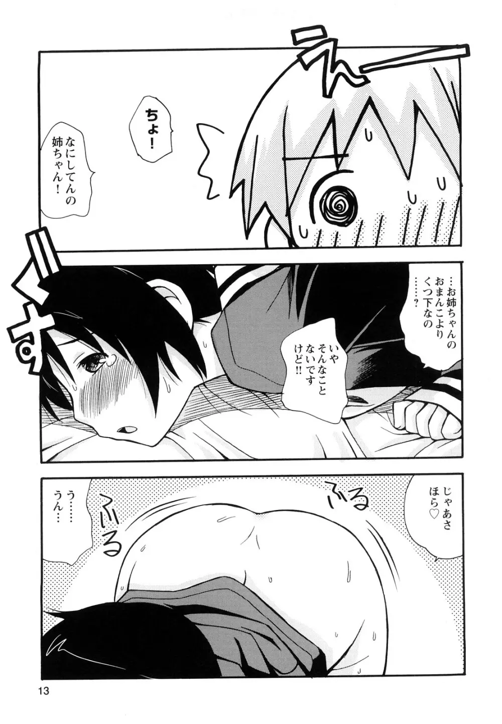 ぼくだって姉とセックスしてみたい! Page.15