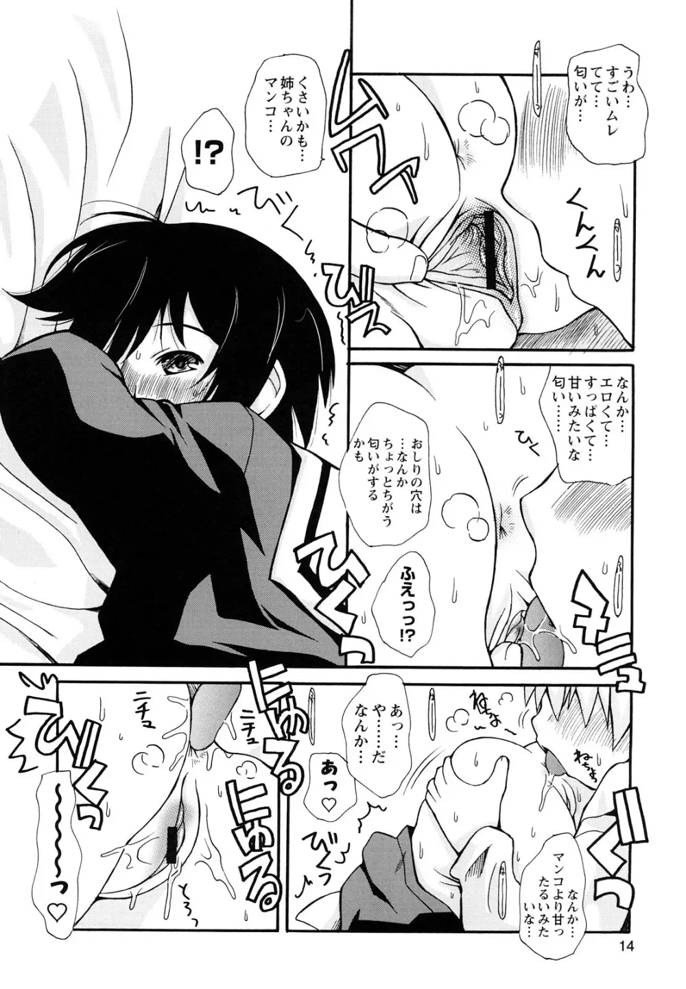 ぼくだって姉とセックスしてみたい! Page.16