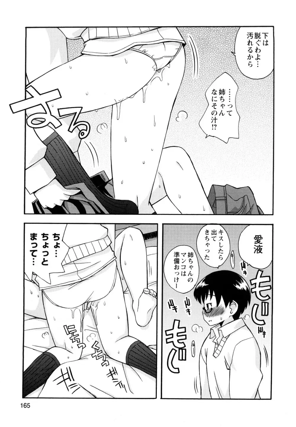 ぼくだって姉とセックスしてみたい! Page.167