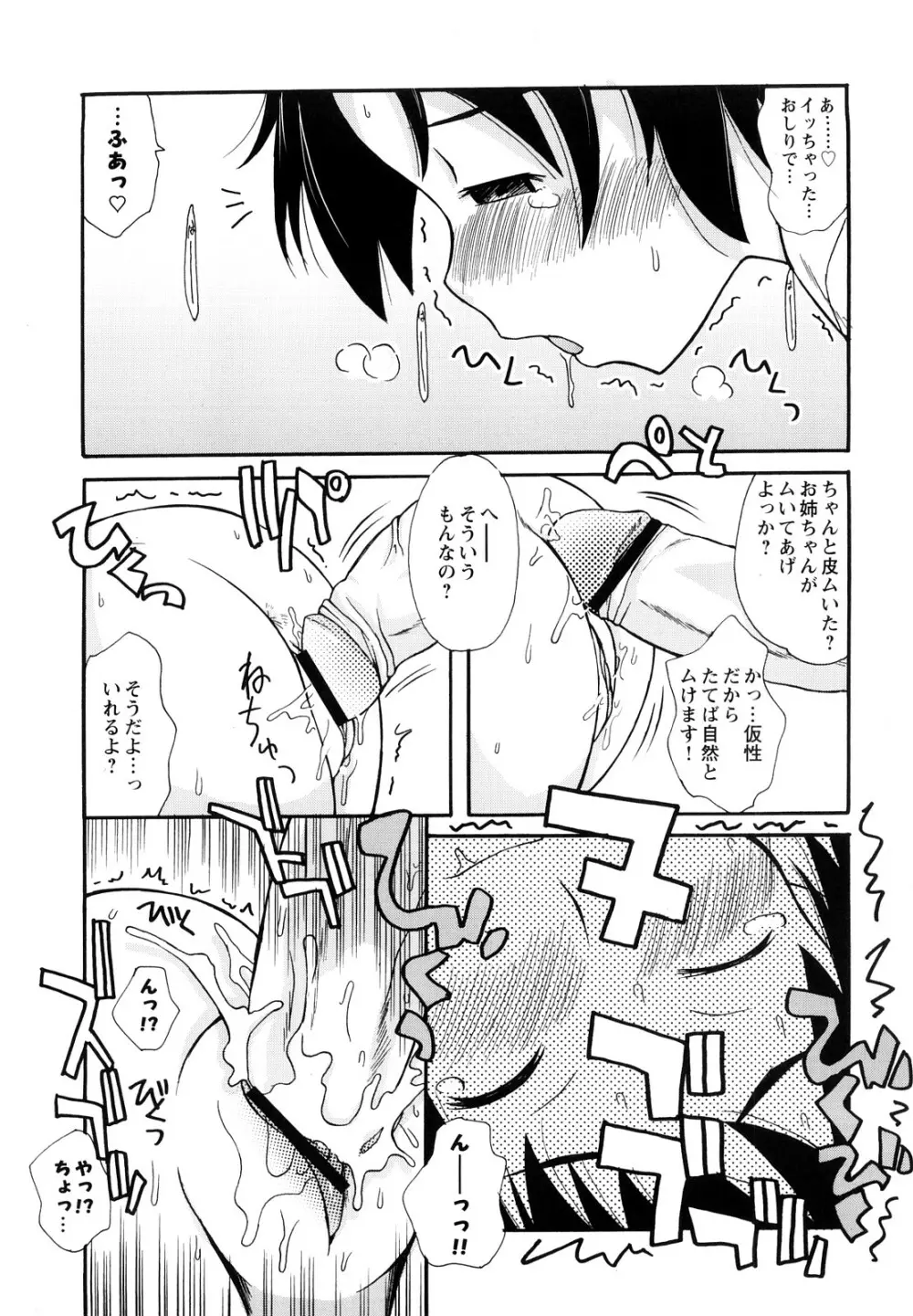 ぼくだって姉とセックスしてみたい! Page.17