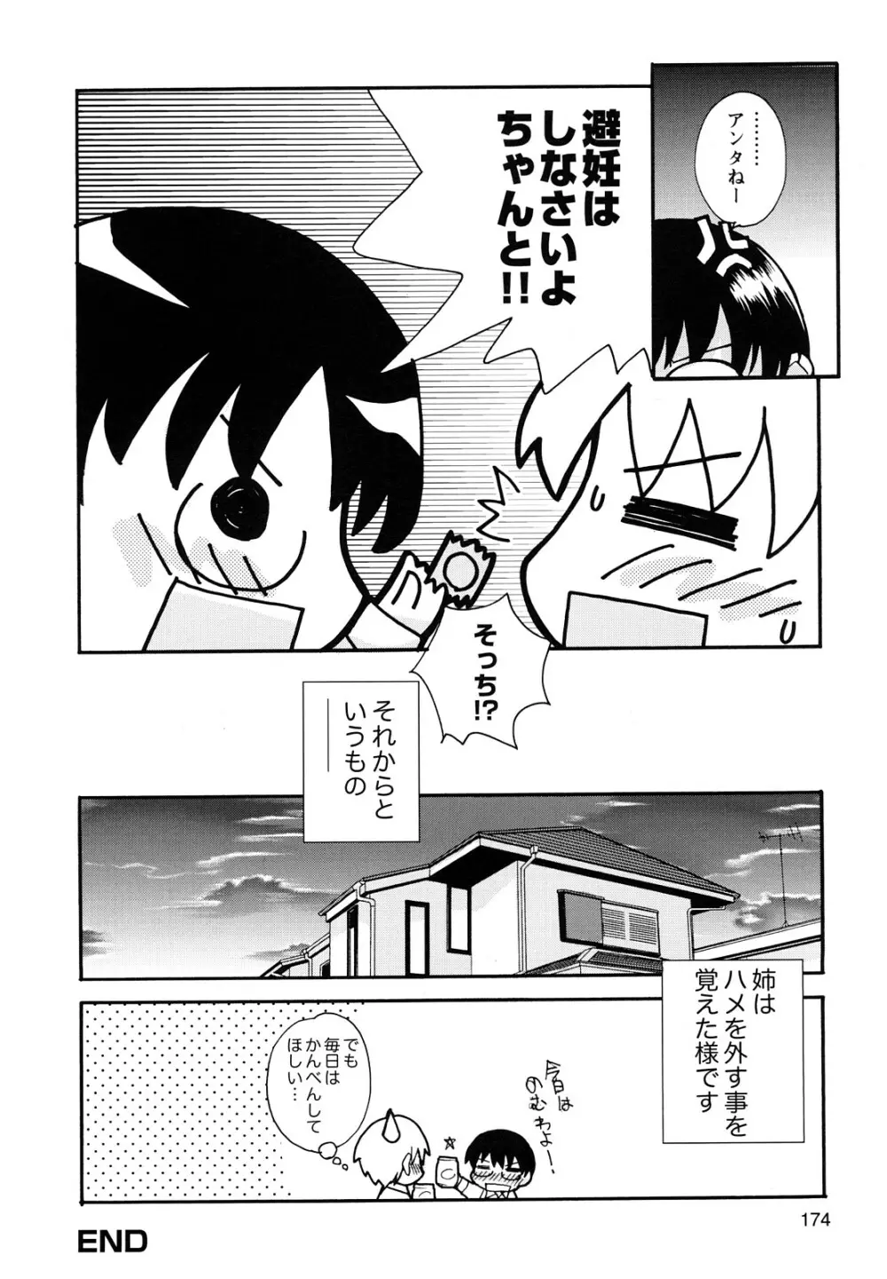 ぼくだって姉とセックスしてみたい! Page.176