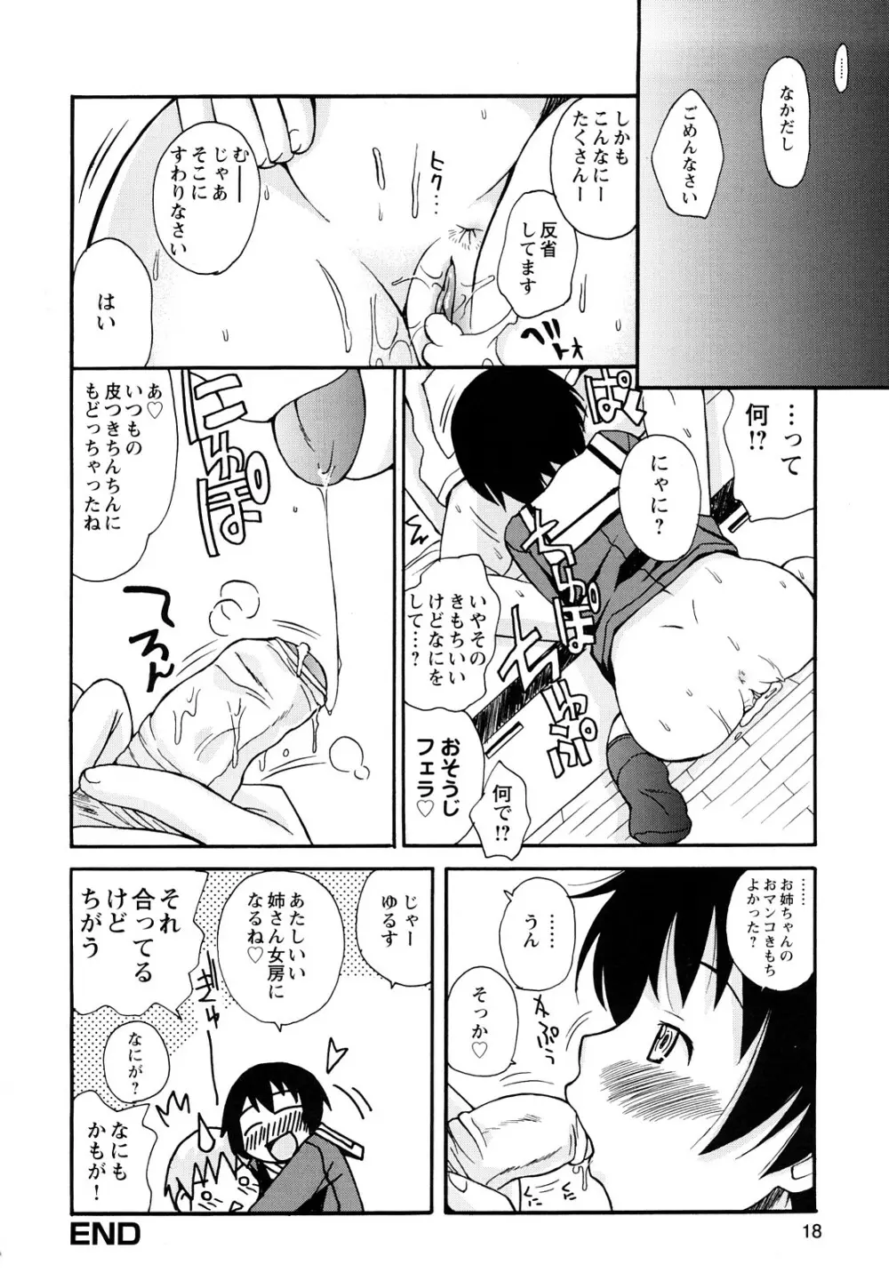 ぼくだって姉とセックスしてみたい! Page.20