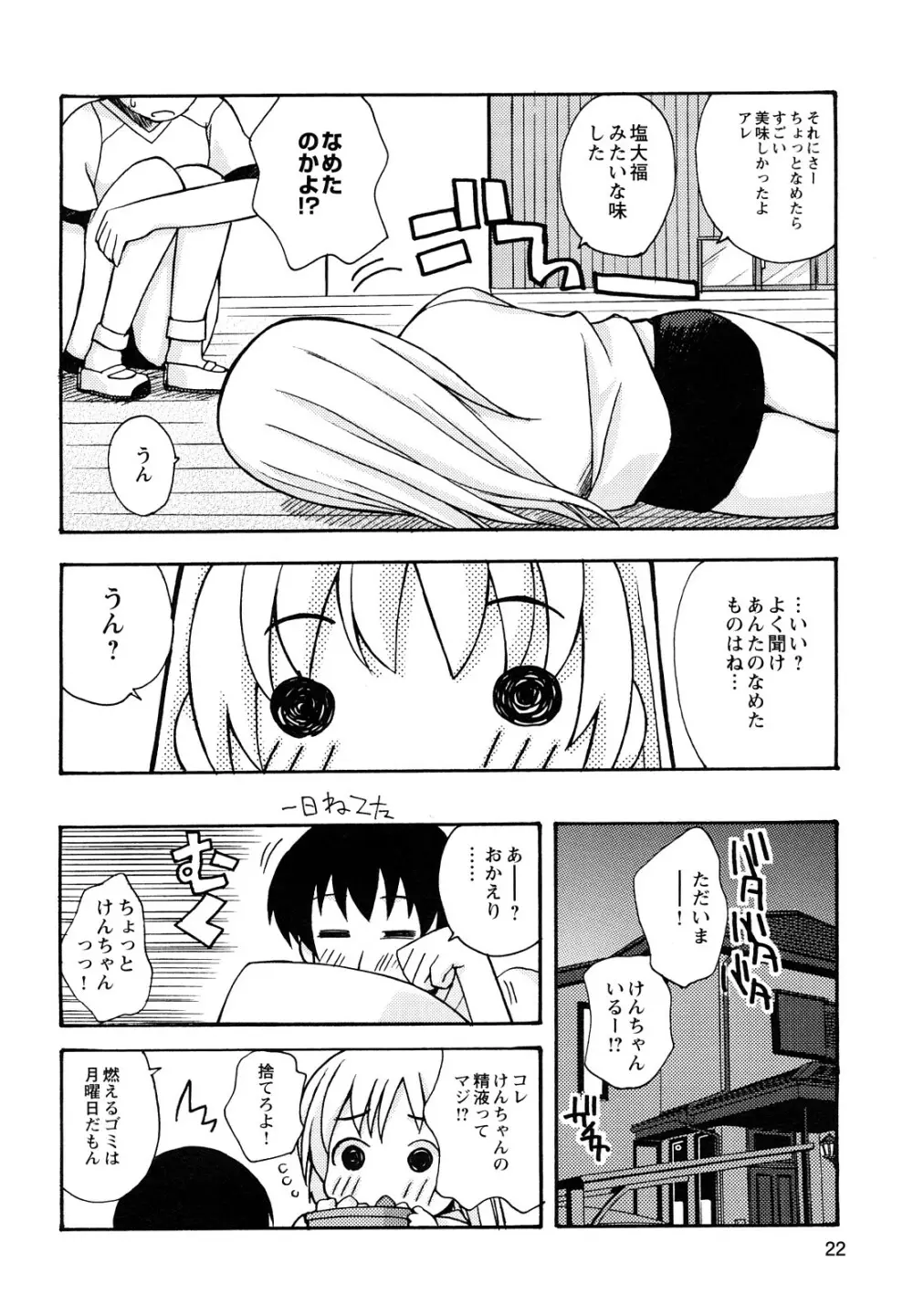 ぼくだって姉とセックスしてみたい! Page.24