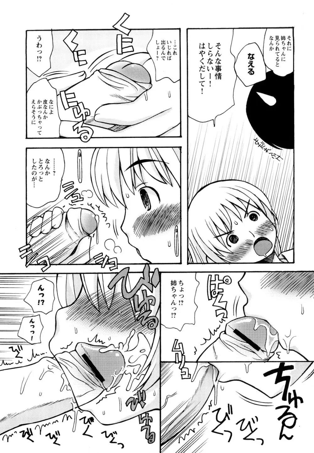 ぼくだって姉とセックスしてみたい! Page.27
