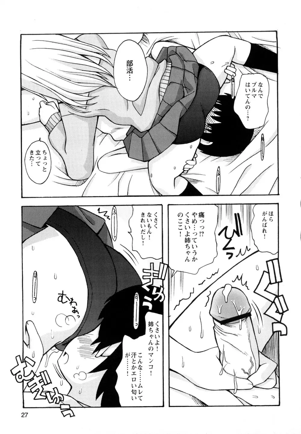 ぼくだって姉とセックスしてみたい! Page.29