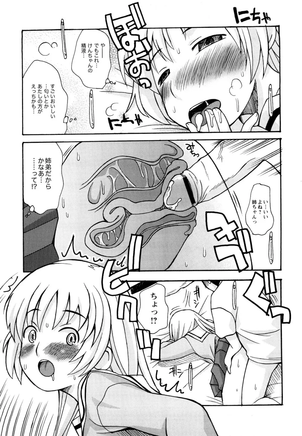 ぼくだって姉とセックスしてみたい! Page.31