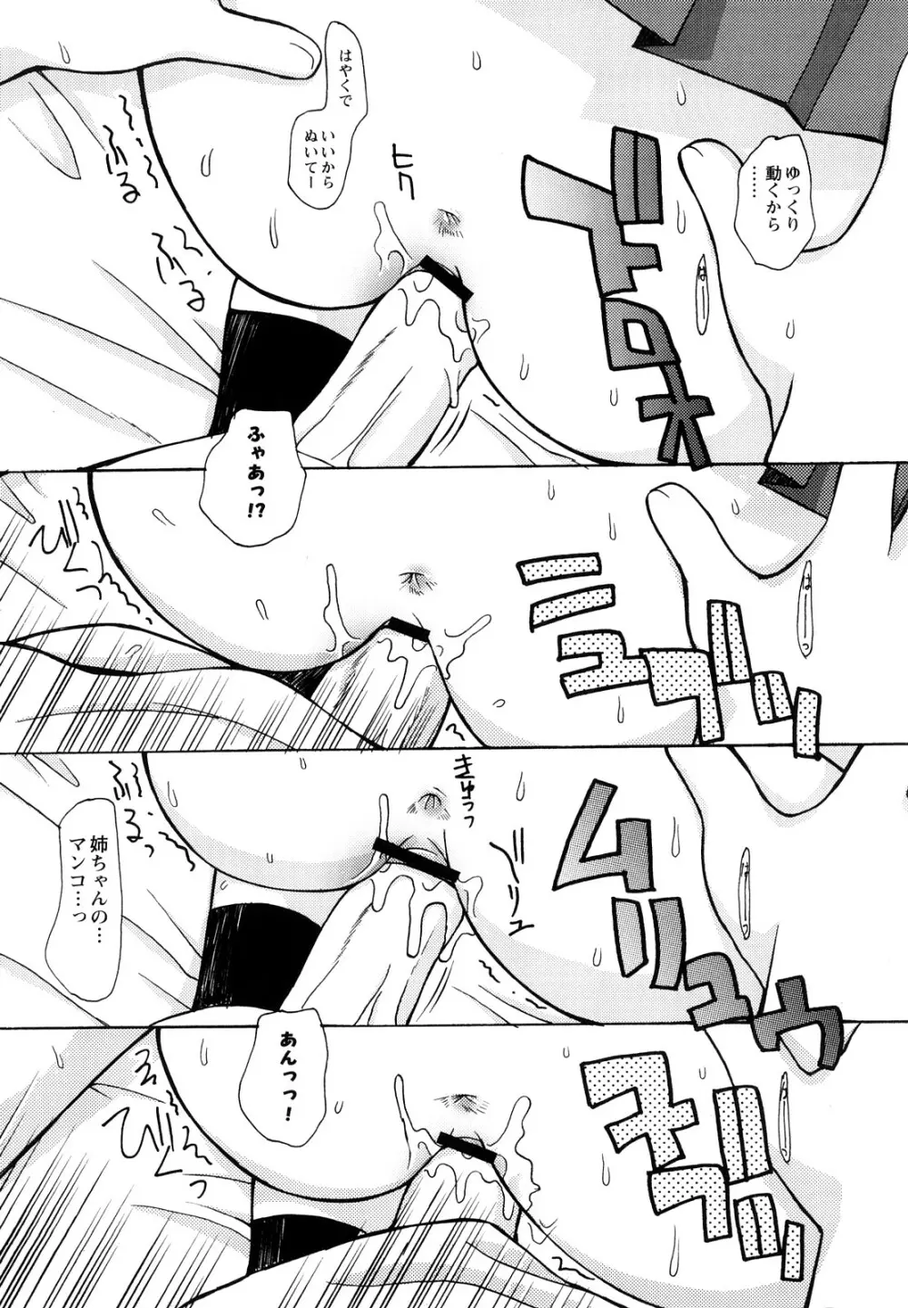 ぼくだって姉とセックスしてみたい! Page.33