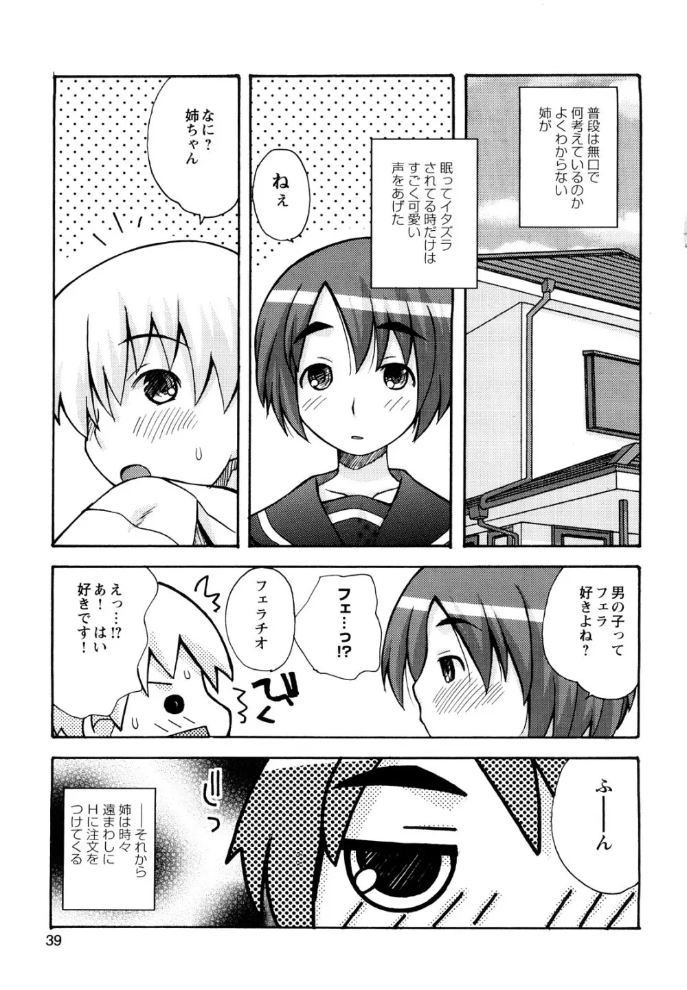 ぼくだって姉とセックスしてみたい! Page.41
