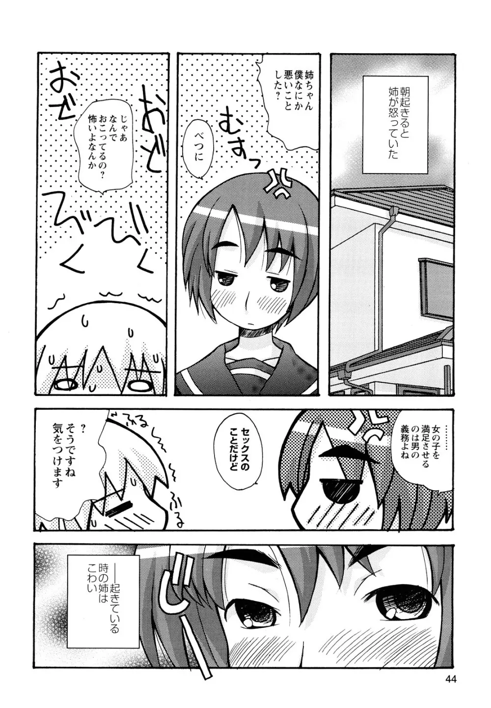 ぼくだって姉とセックスしてみたい! Page.46