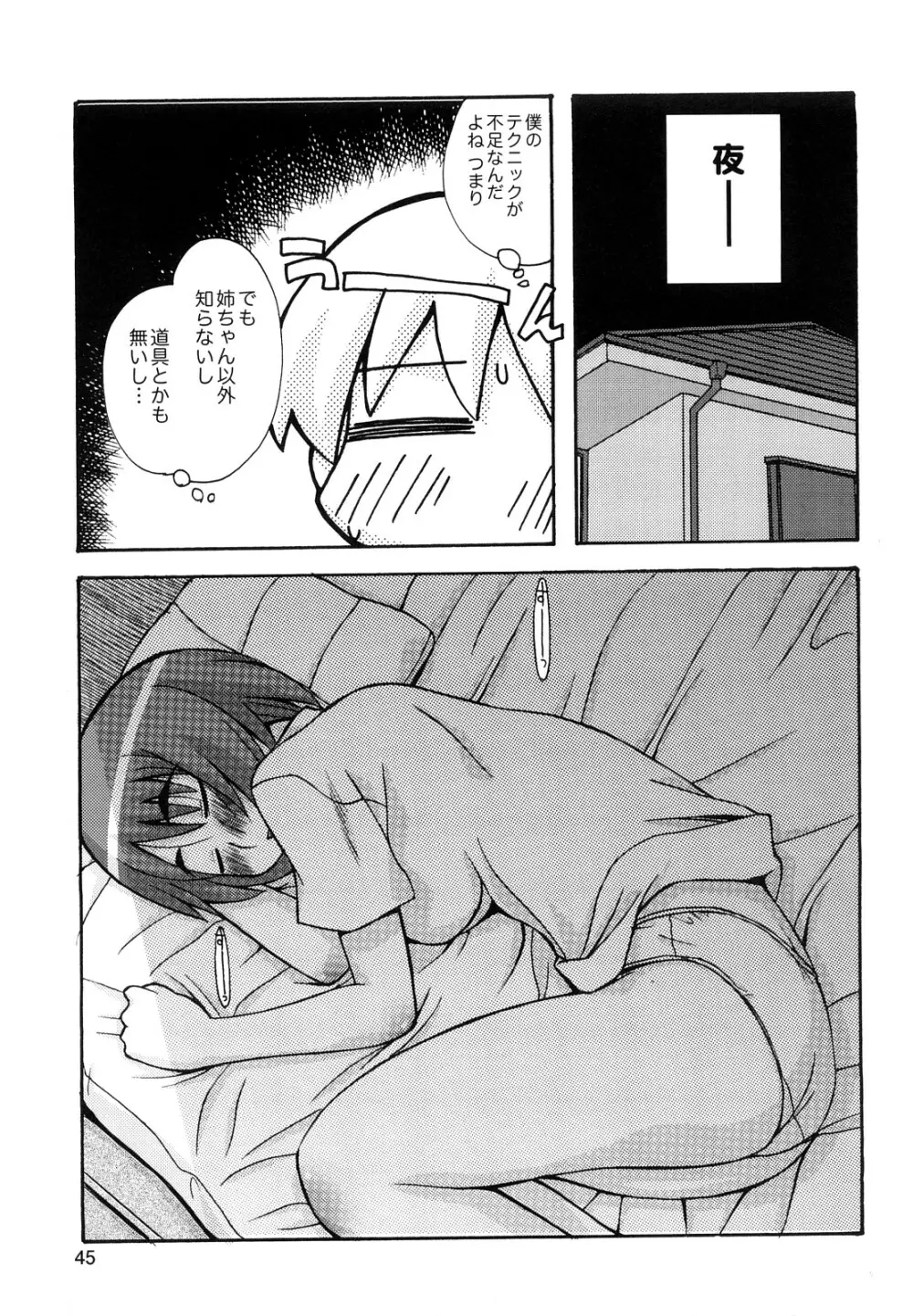 ぼくだって姉とセックスしてみたい! Page.47