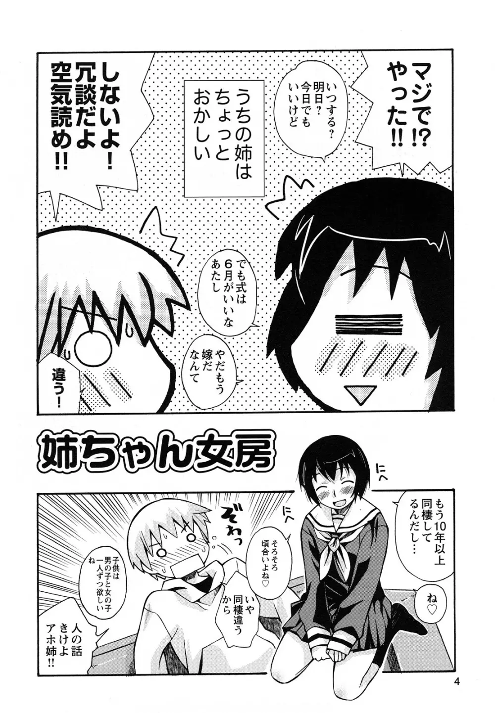 ぼくだって姉とセックスしてみたい! Page.6