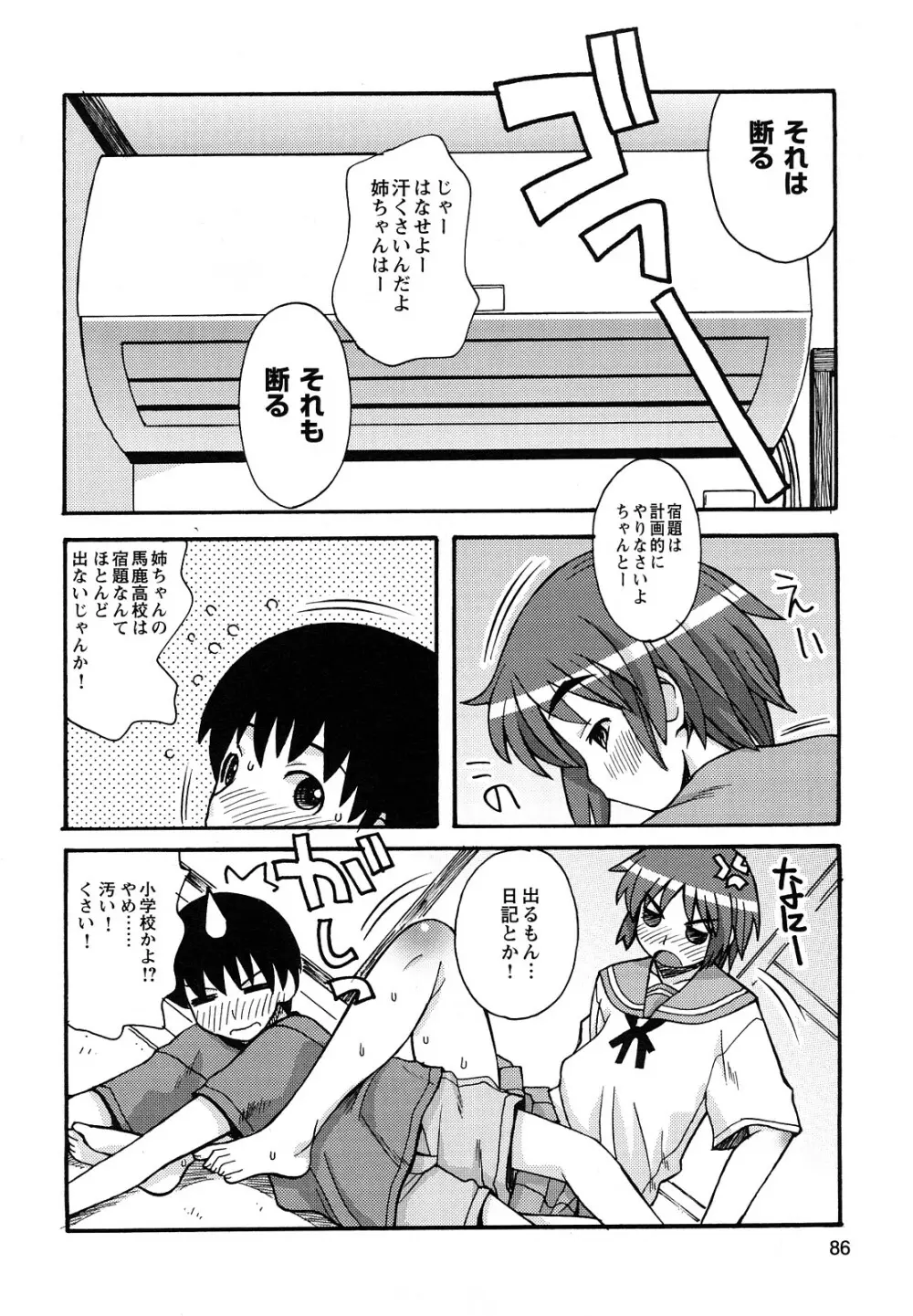ぼくだって姉とセックスしてみたい! Page.88