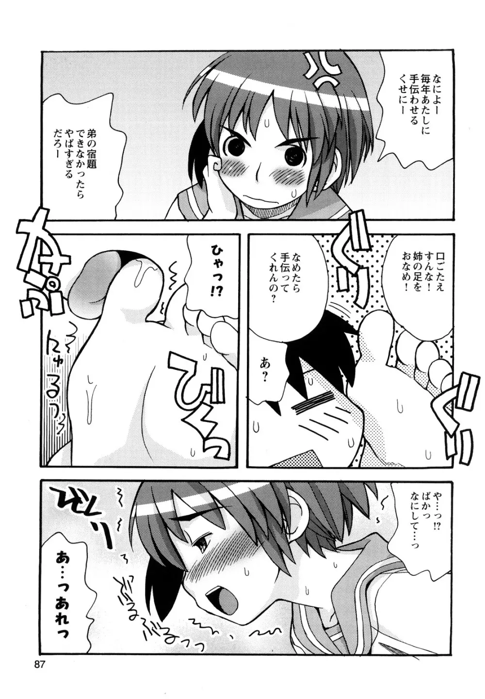 ぼくだって姉とセックスしてみたい! Page.89