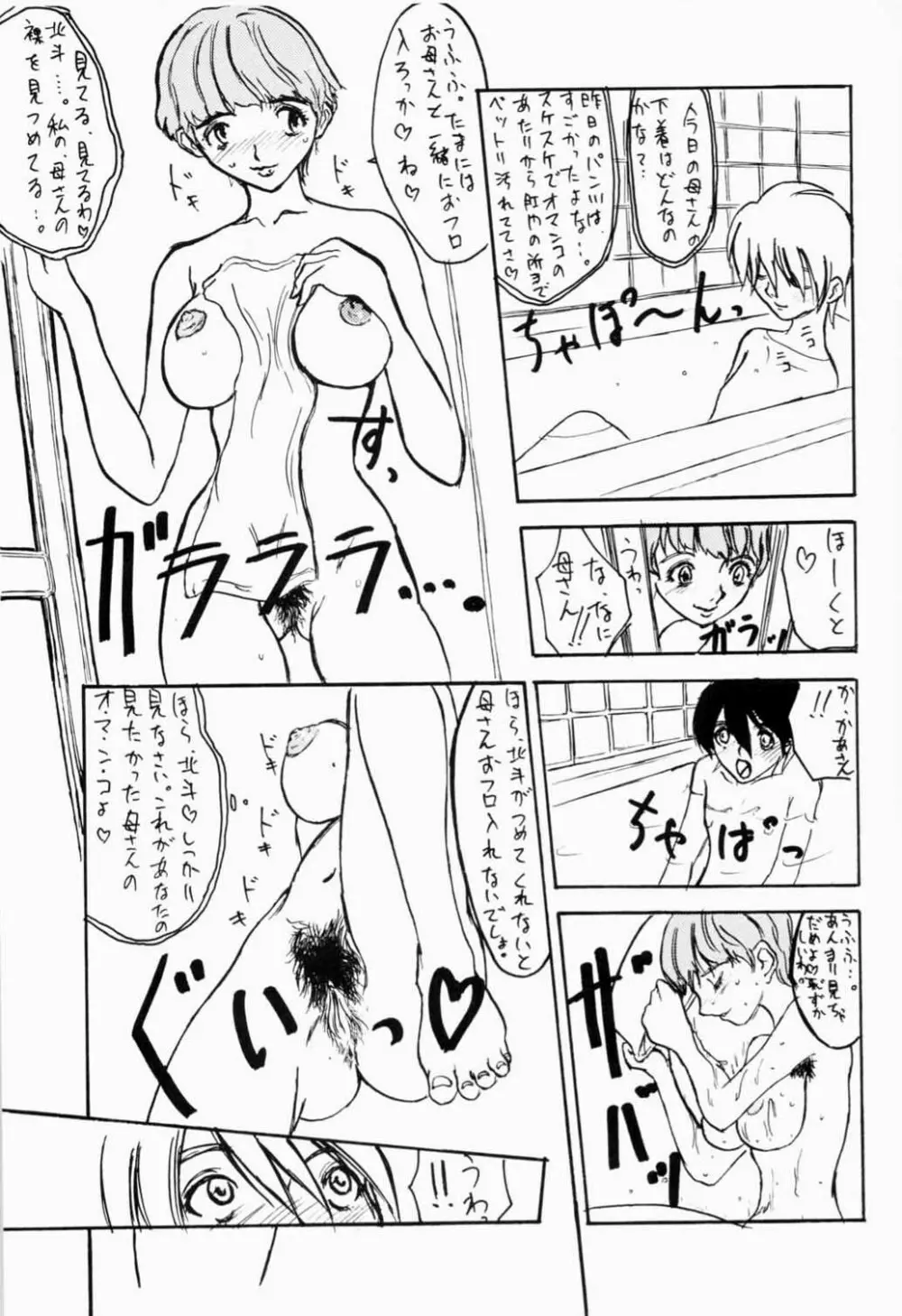 北斗、貴方は何処へ墮ちたい?母さんとなら何処へでも、、、。 Page.6