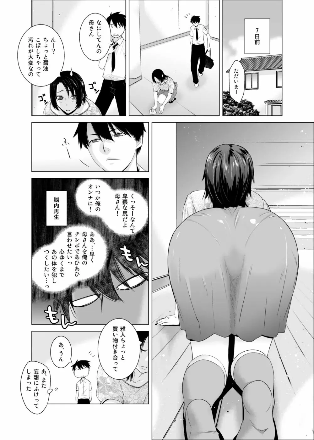 オリジナル03カリフォルニアポピー&アザレア&サンビタリア Page.7