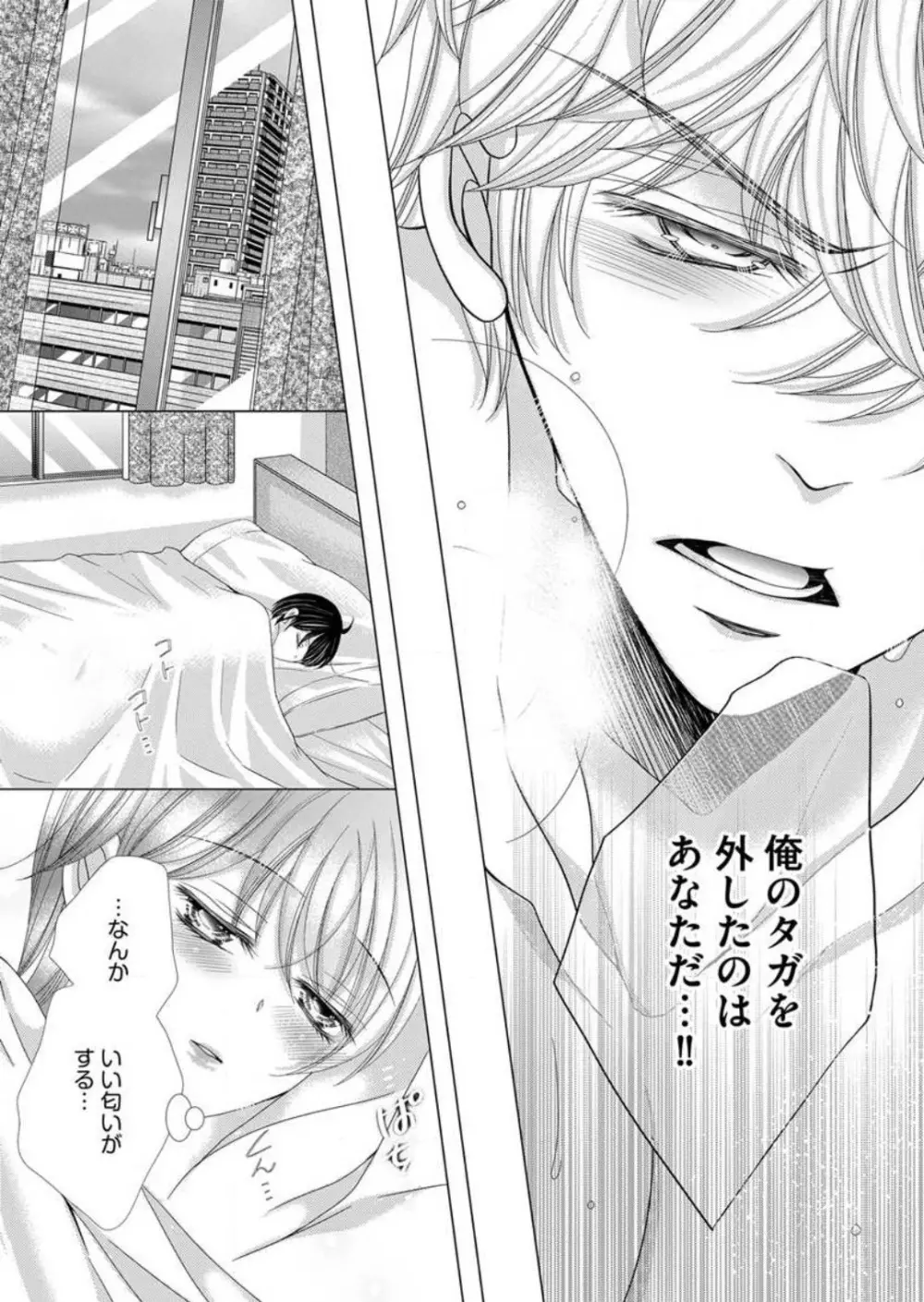 毎晩、最低5回は俺に抱かれてください〜予定外ですが、明日結婚します〜 1-12 Page.95
