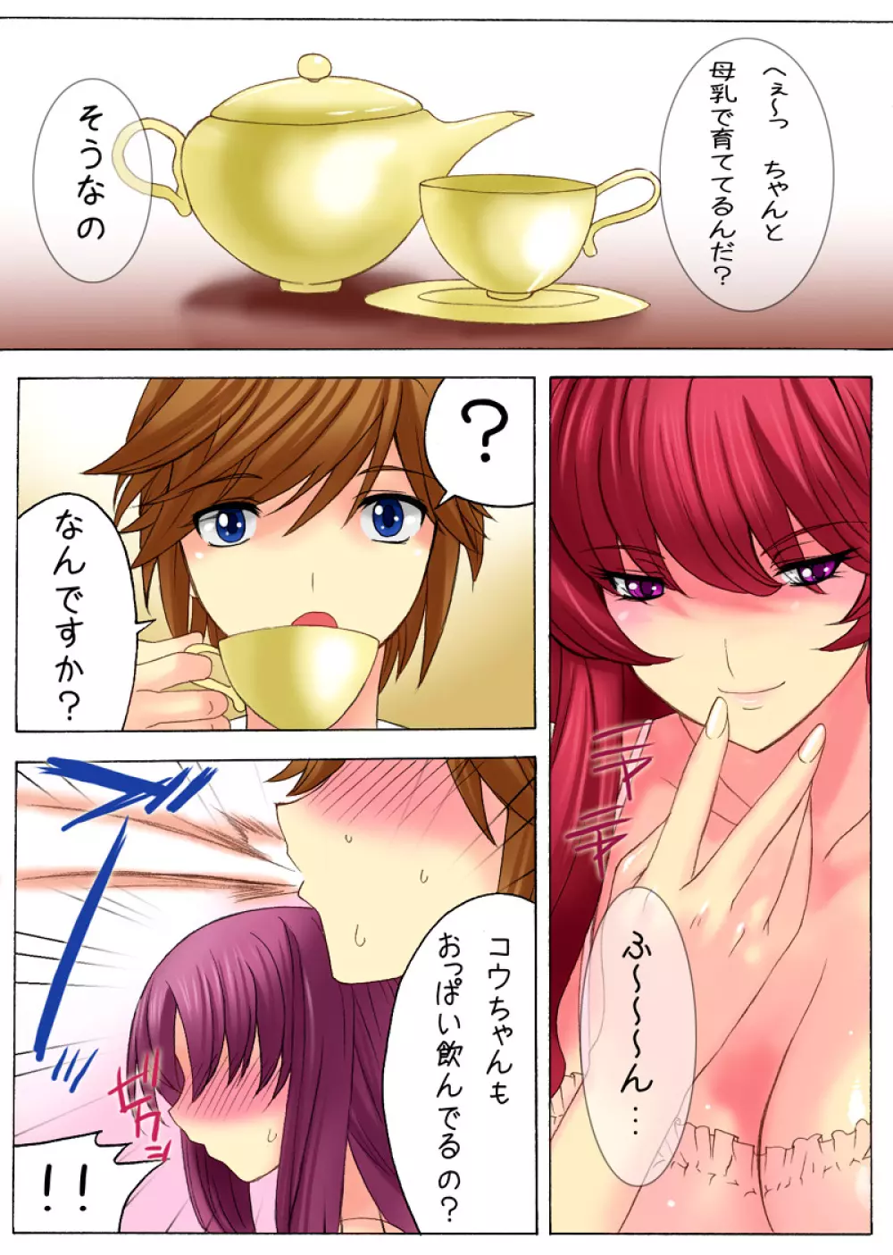 ボテプリ~母と叔母さんはボクの孕ませ奴隷~ Page.5