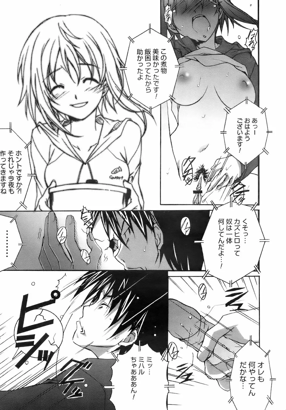 COMIC メガプラス 2007年11月号 第49巻 Page.294