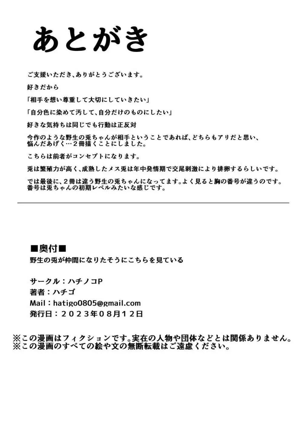 野生の兎が仲間になりたそうにこちらを見ている Page.19