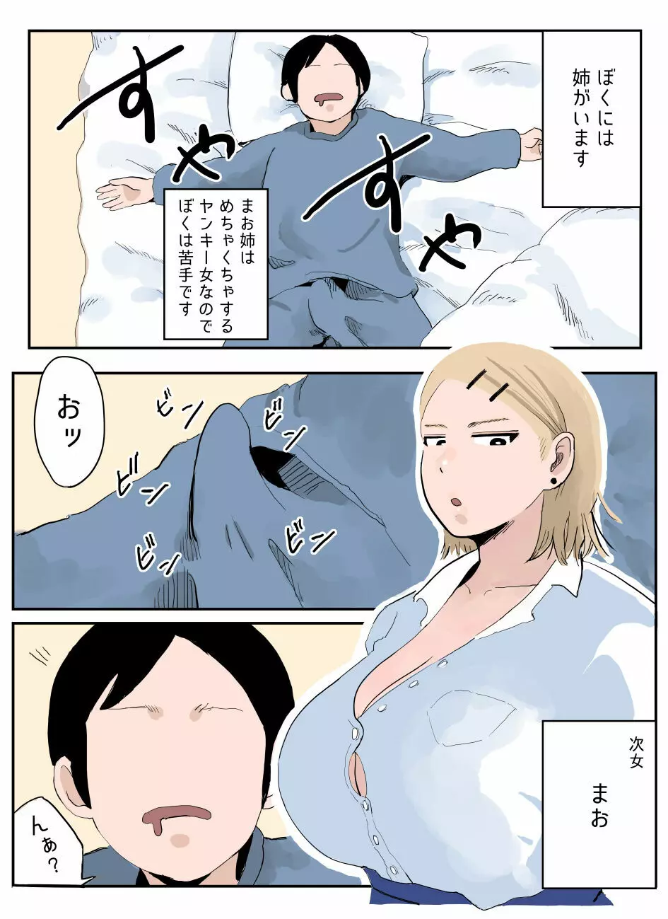 ぼくには姉がいます~まじめ長女と次女ヤンキー~ Page.12