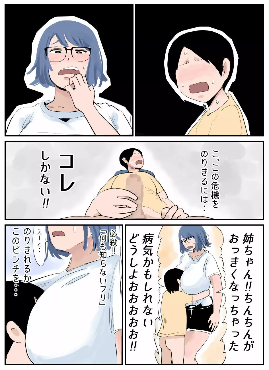 ぼくには姉がいます~まじめ長女と次女ヤンキー~ Page.3
