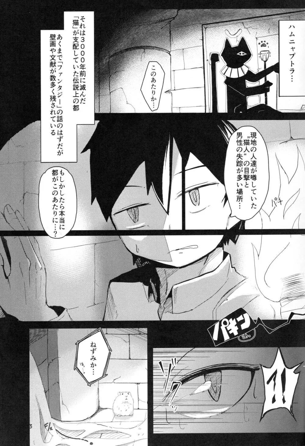 ハムニャプトラ -失われた猫の都- Page.3