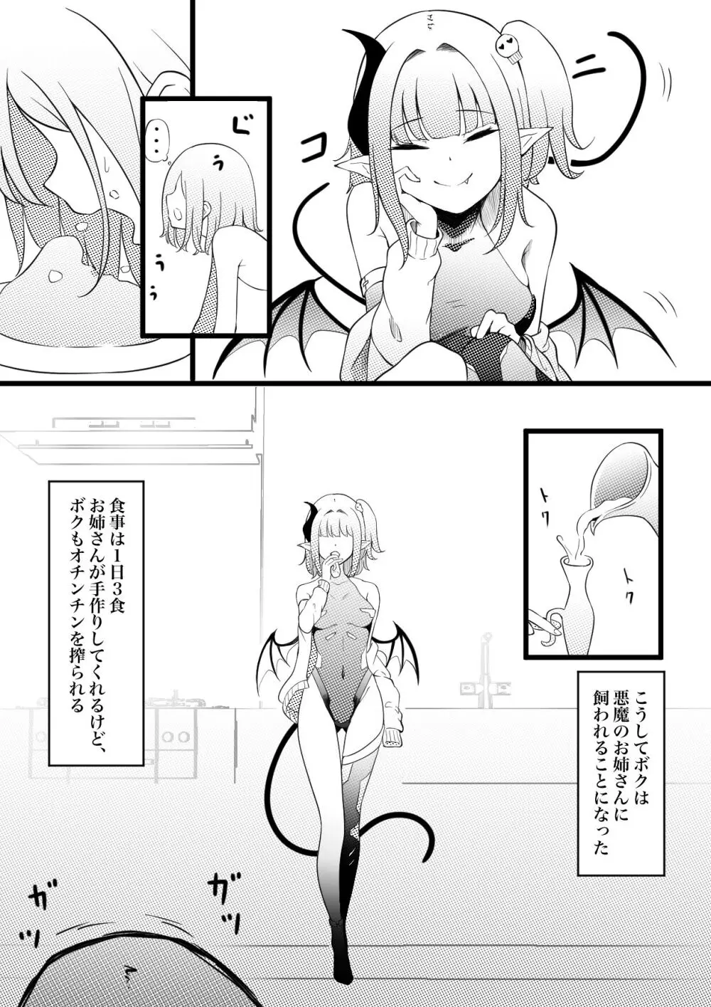 サキュバスブリーダー~言葉の通じない転生世界でサキュバスに飼われるボクのお話~ Page.12