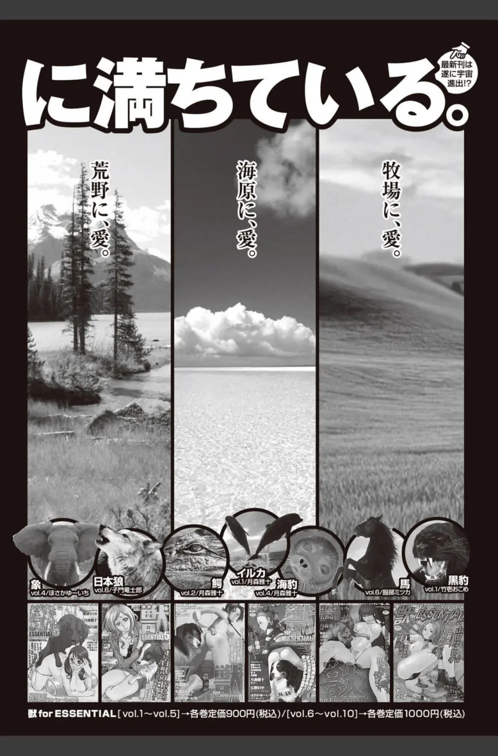 美少女革命 極 2010年8月号 Vol.09 Page.192