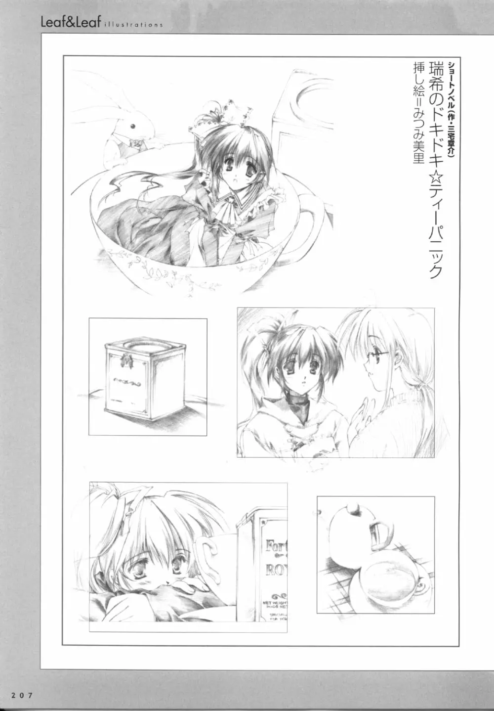 こみっくパーティー ビジュアルファンブック Page.210