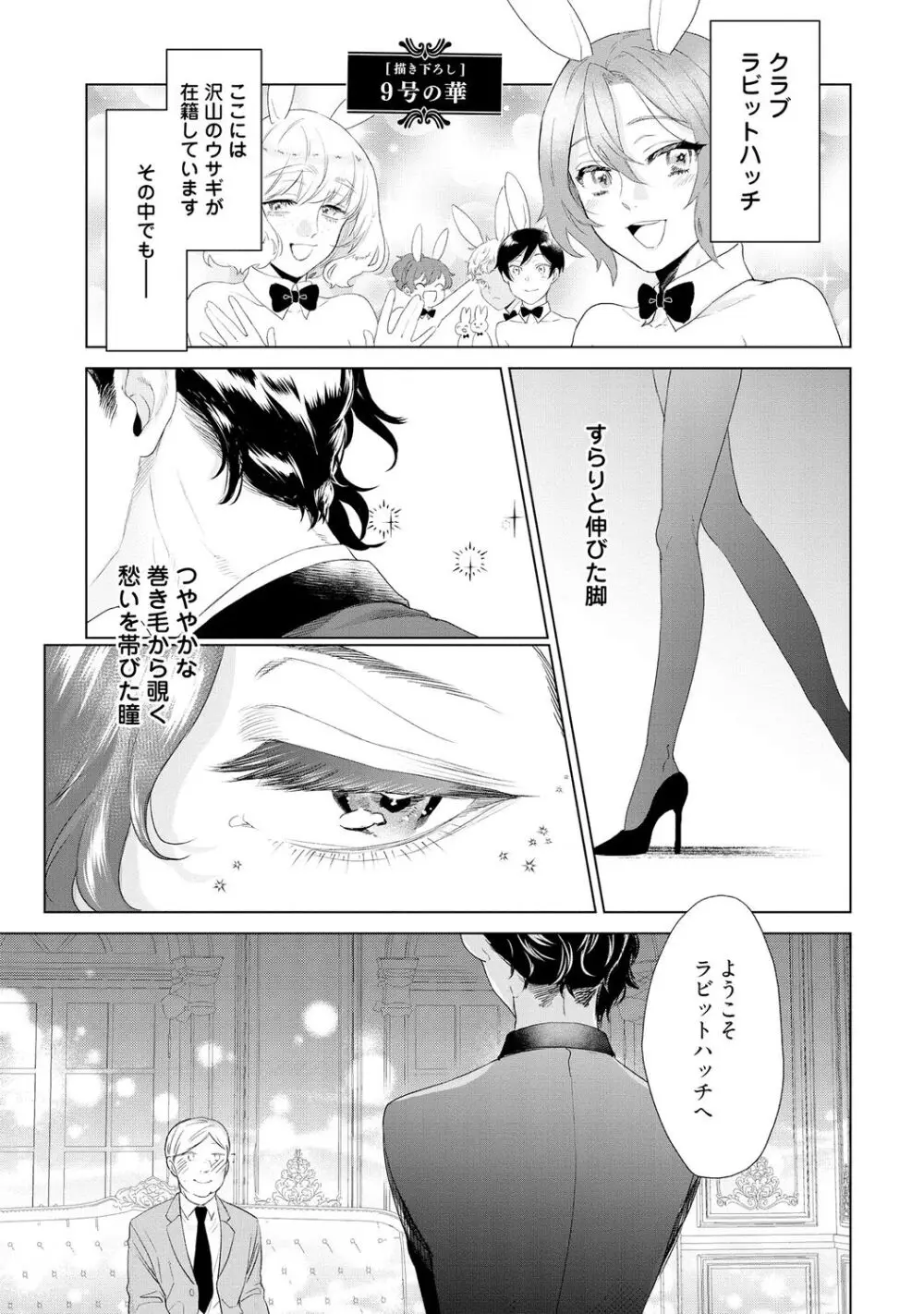 ラビットハッチへようこそ 【電子限定特典付き】(上) Page.233