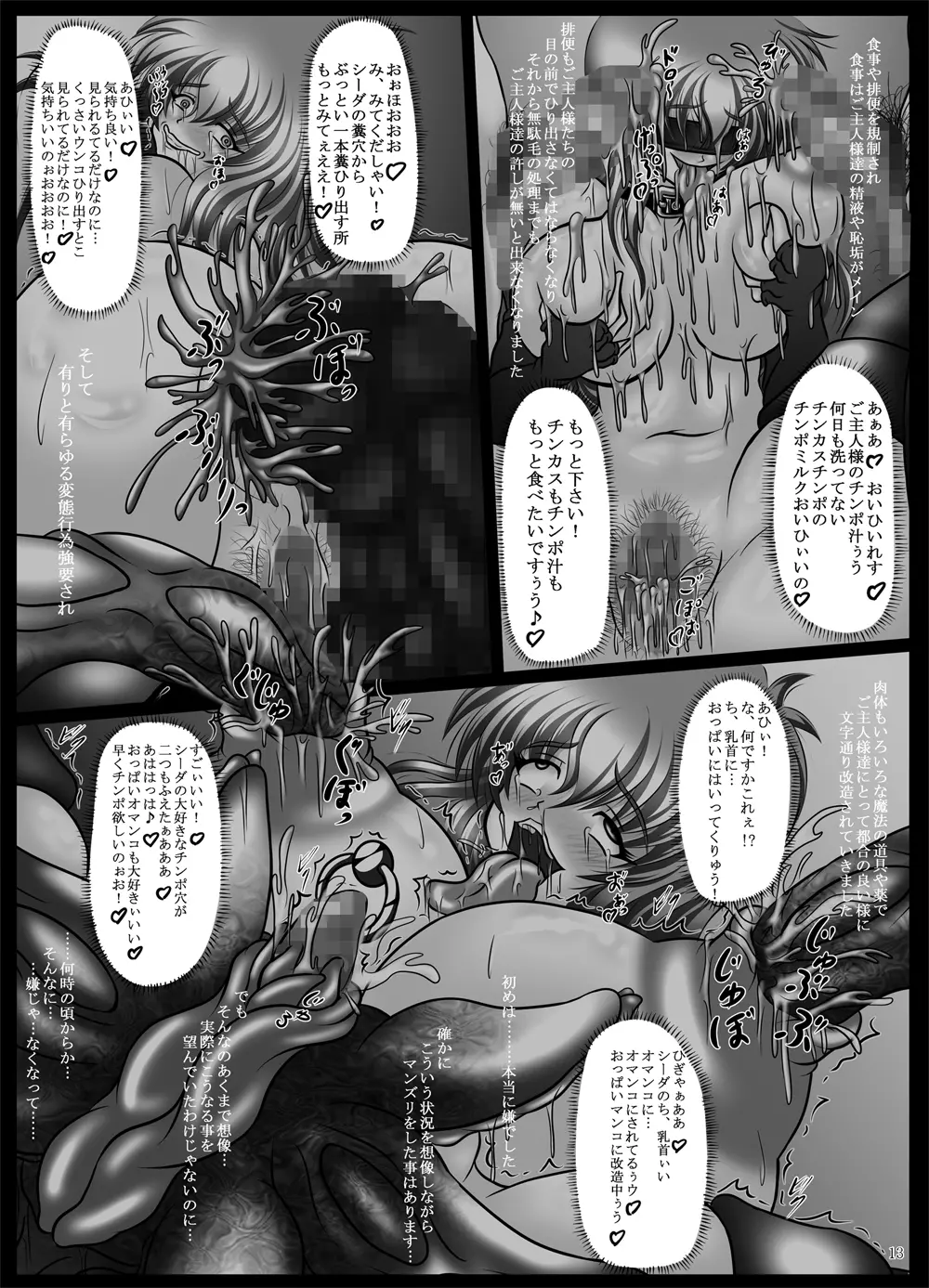 肉便姫シーダ ~淫乱痴王女のエムブレム~ Page.13