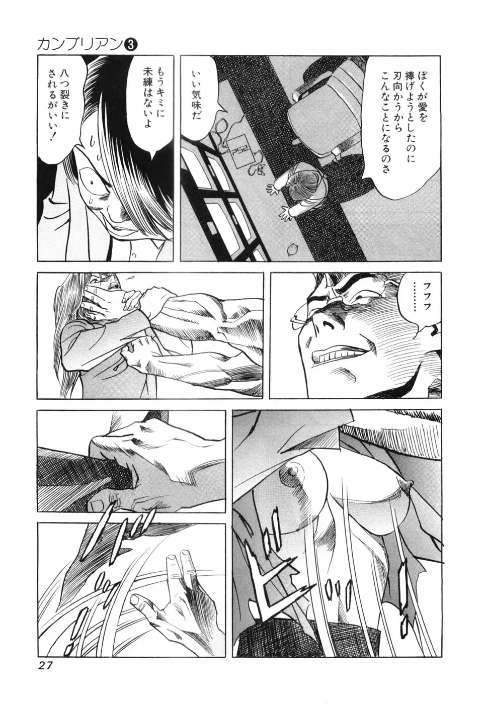 カンブリアン 第3巻 Page.29
