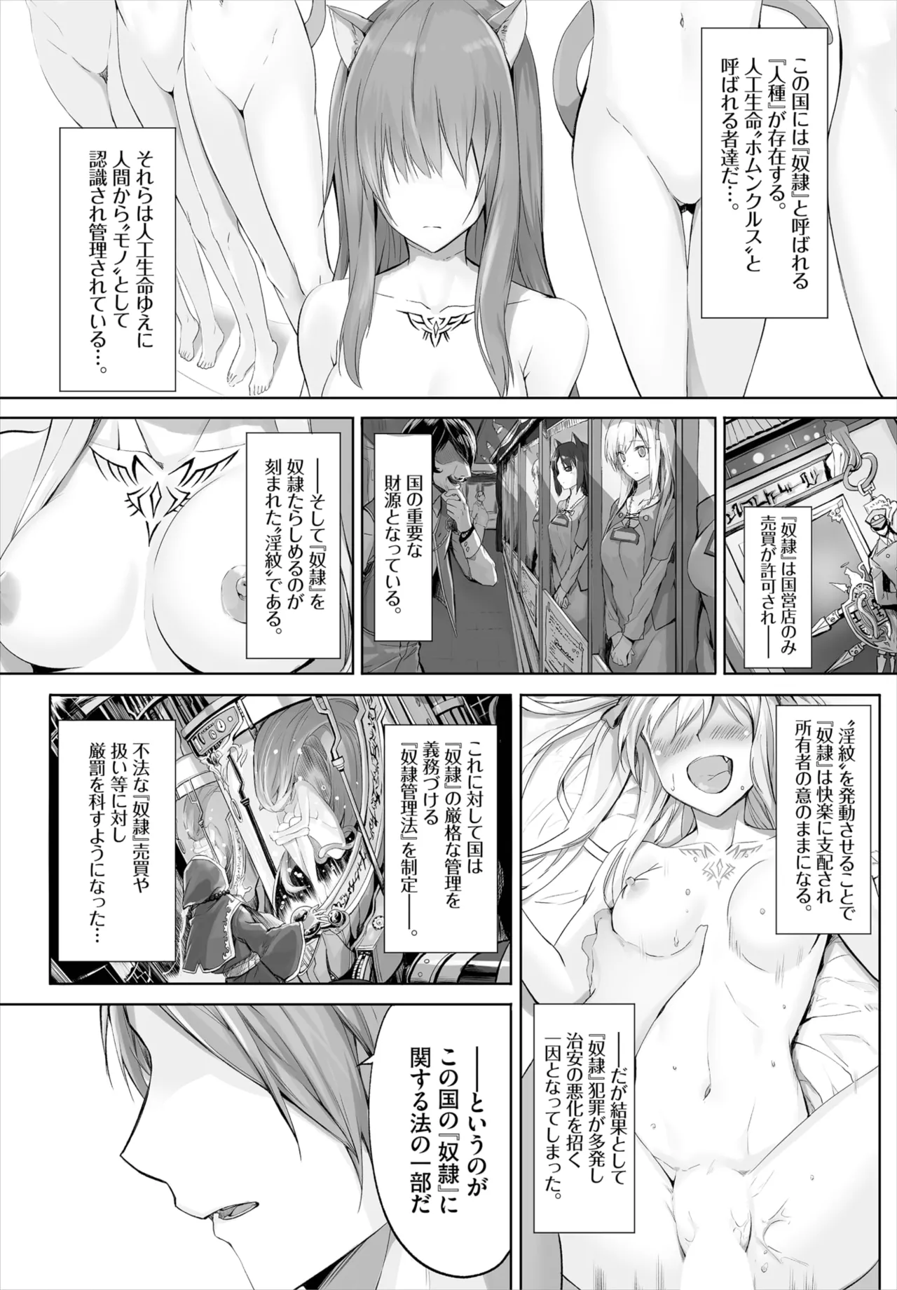 愚か者は猫耳奴隷に依存する~初めての調教生活~ 01-32 Page.2