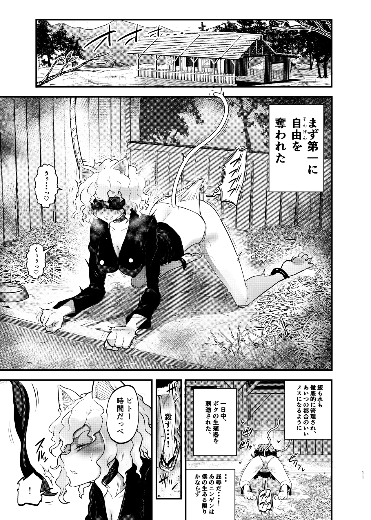 調教師 操作系なんてボク知らない! Page.11