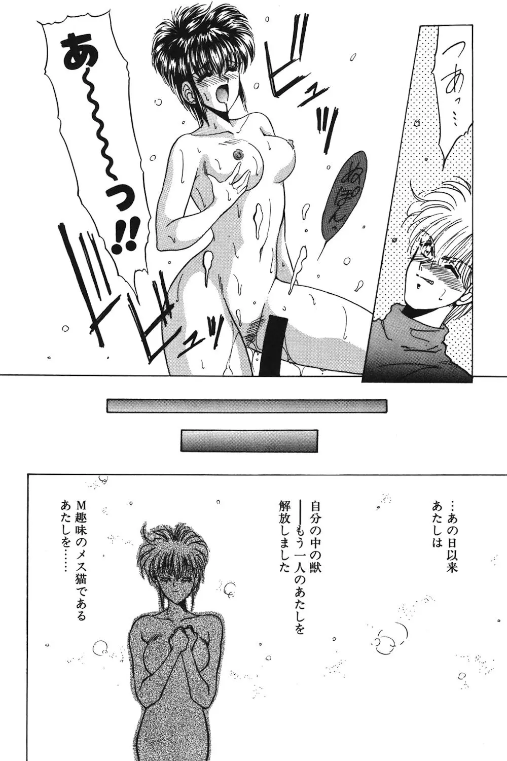 LUNATIC-CAT 1 Page.33