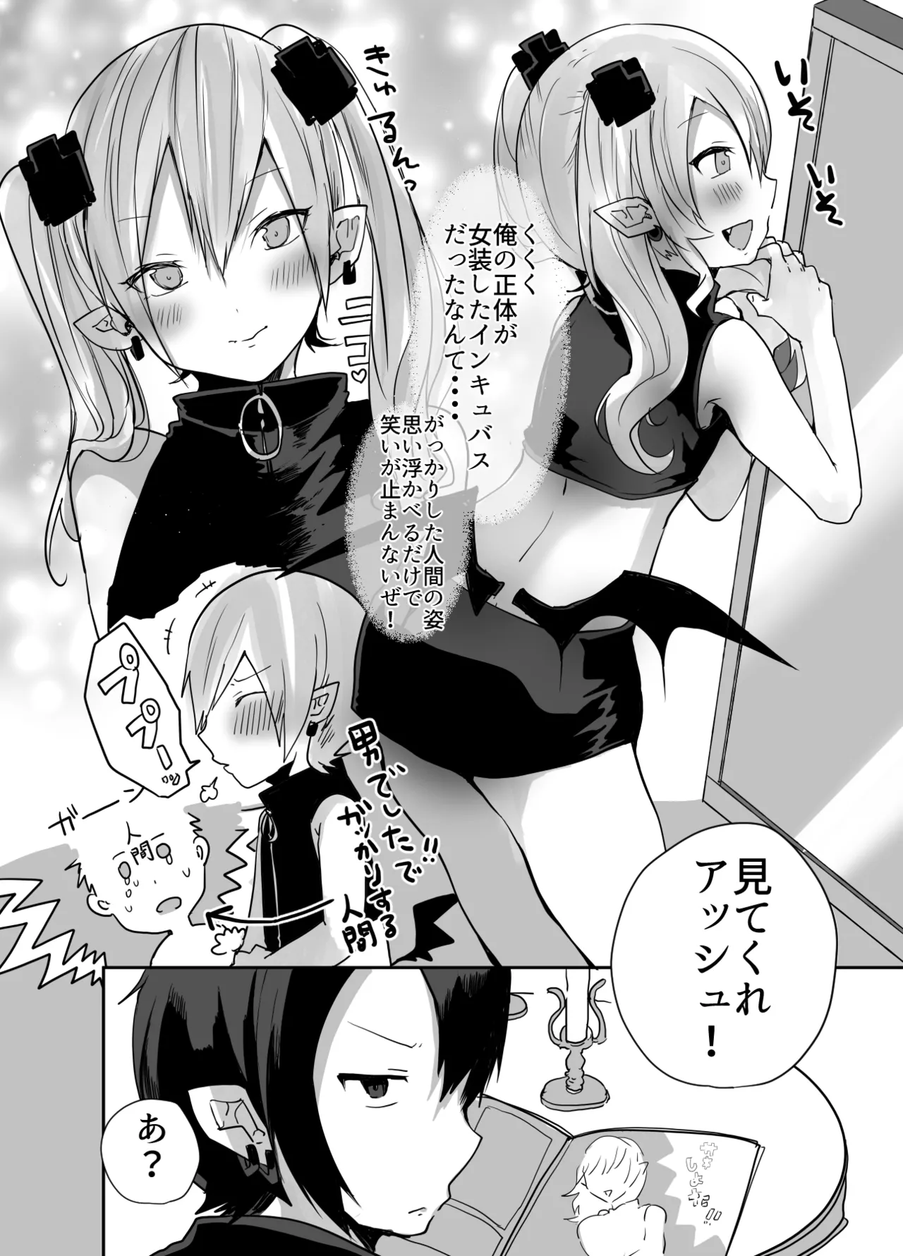 男だよバーカ!する女装サキュバス Page.3