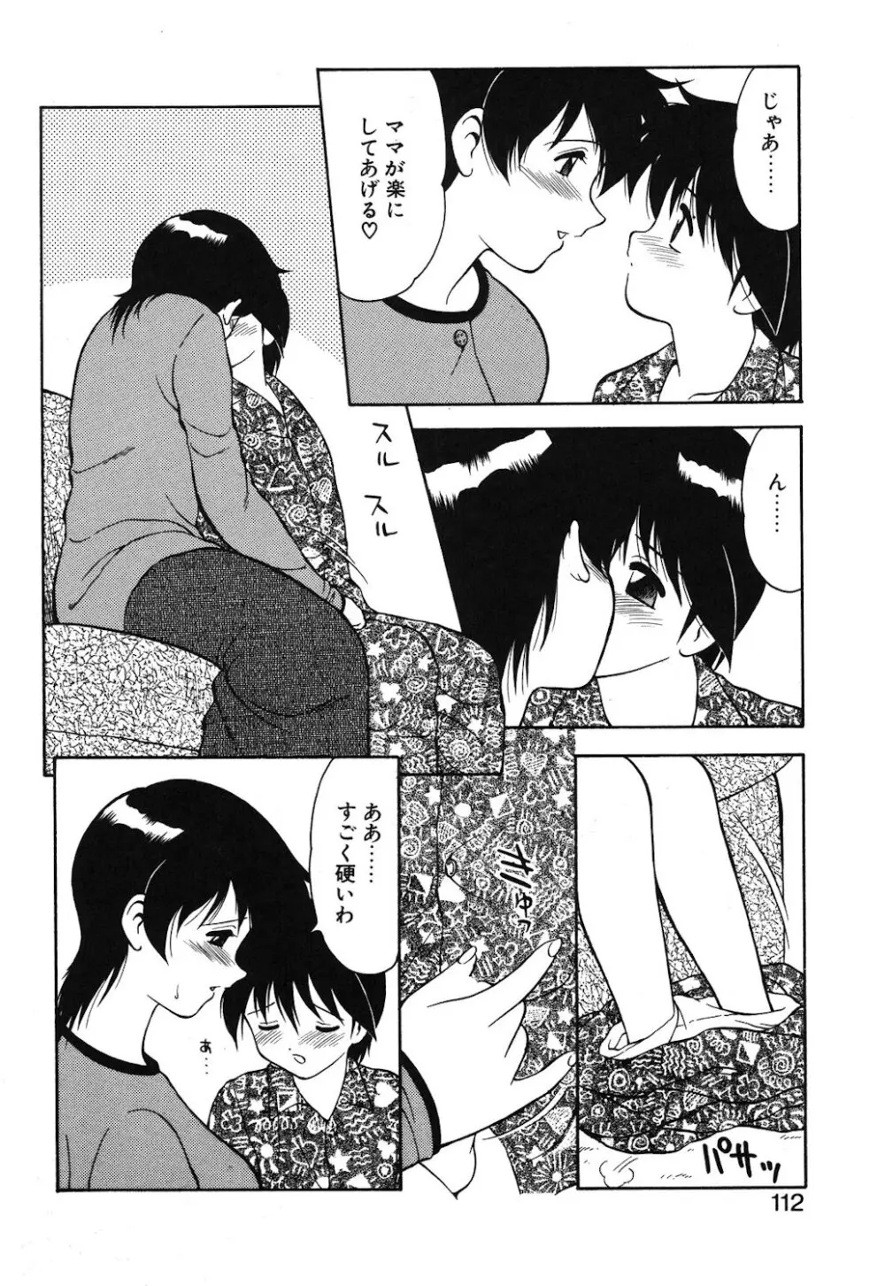 紫苑の夜 Page.109