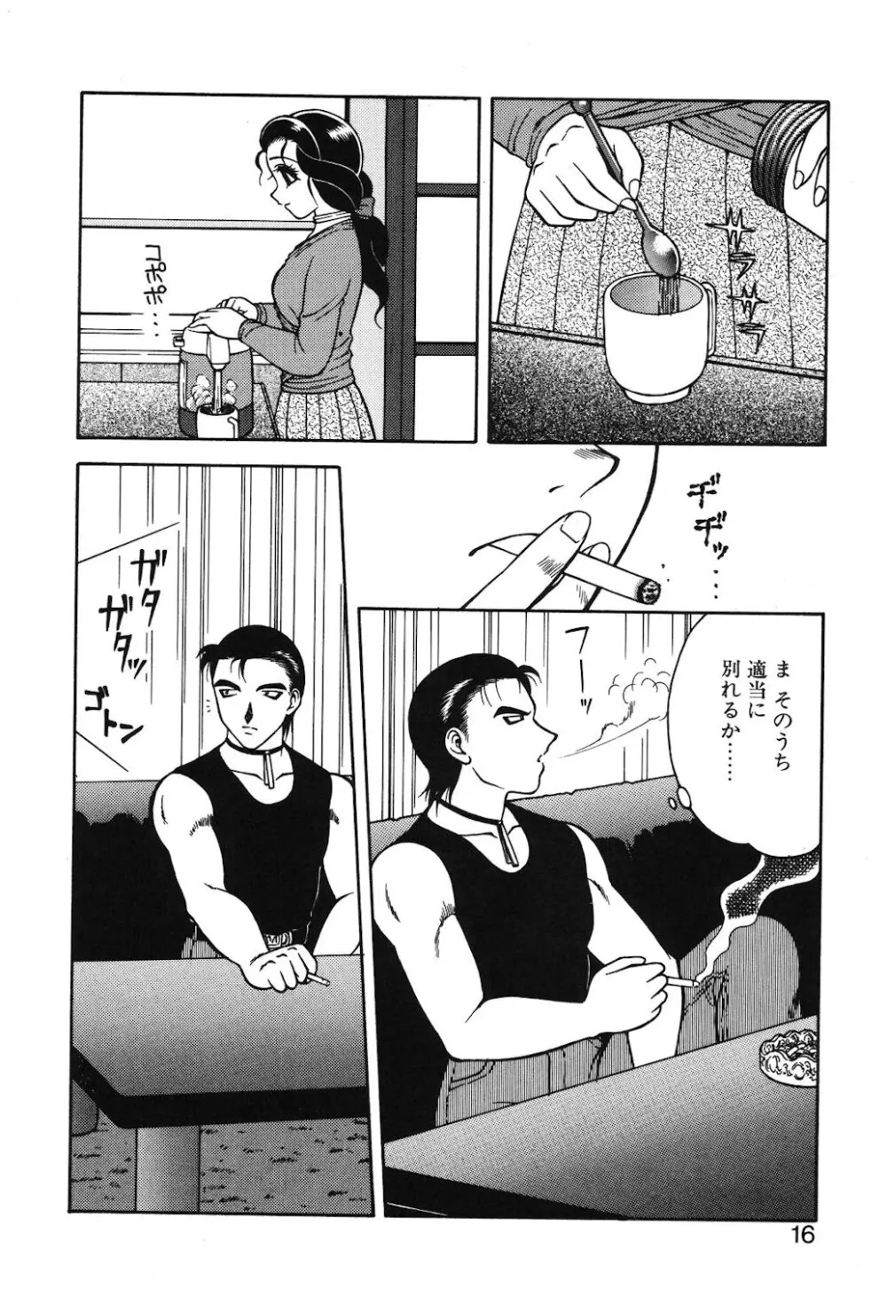 紫苑の夜 Page.13