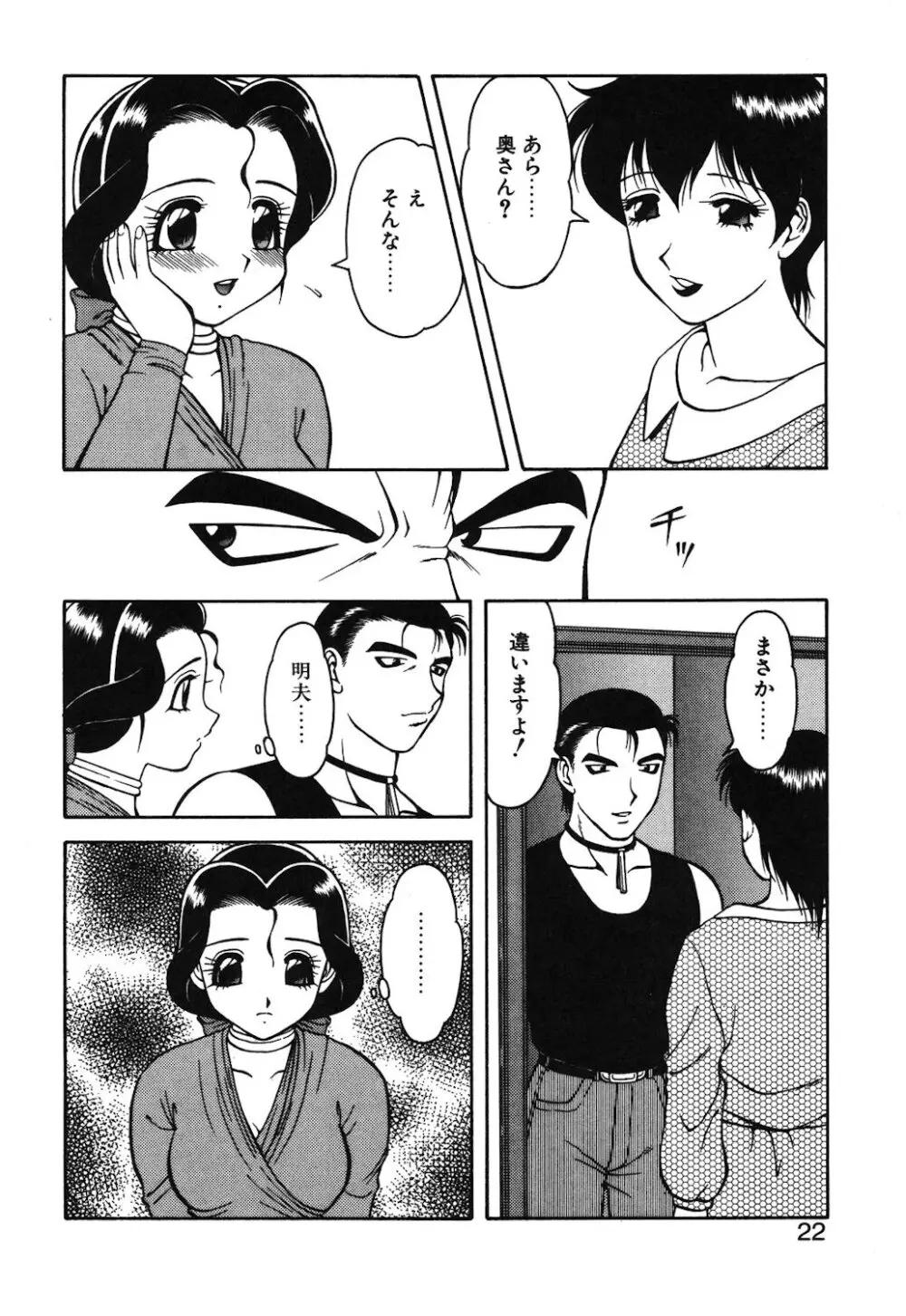紫苑の夜 Page.19