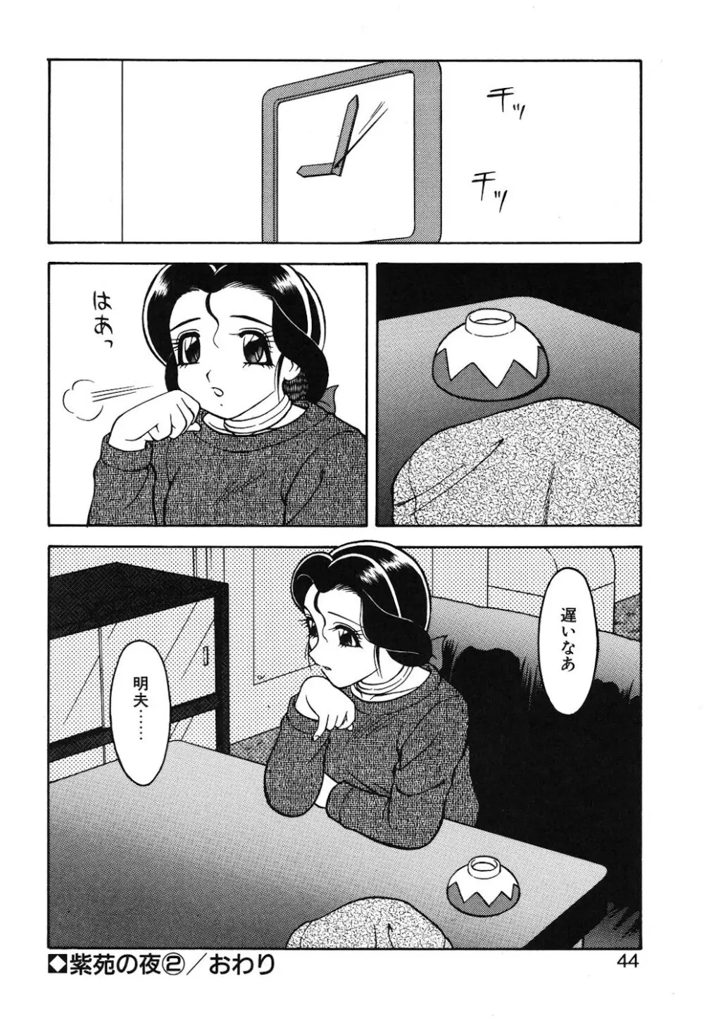 紫苑の夜 Page.41