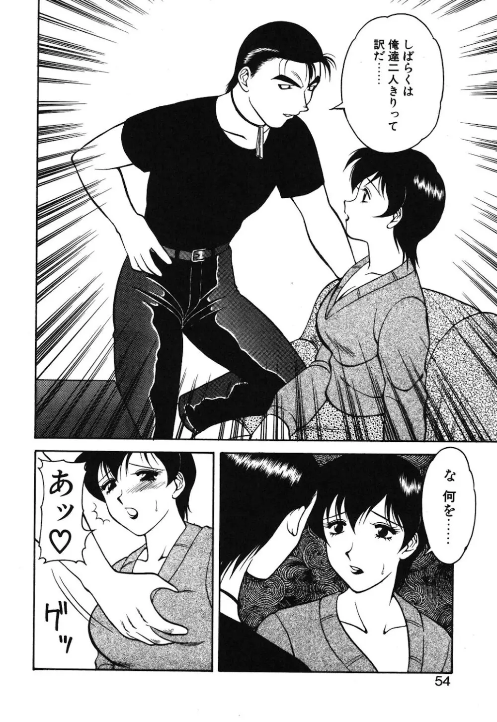 紫苑の夜 Page.51