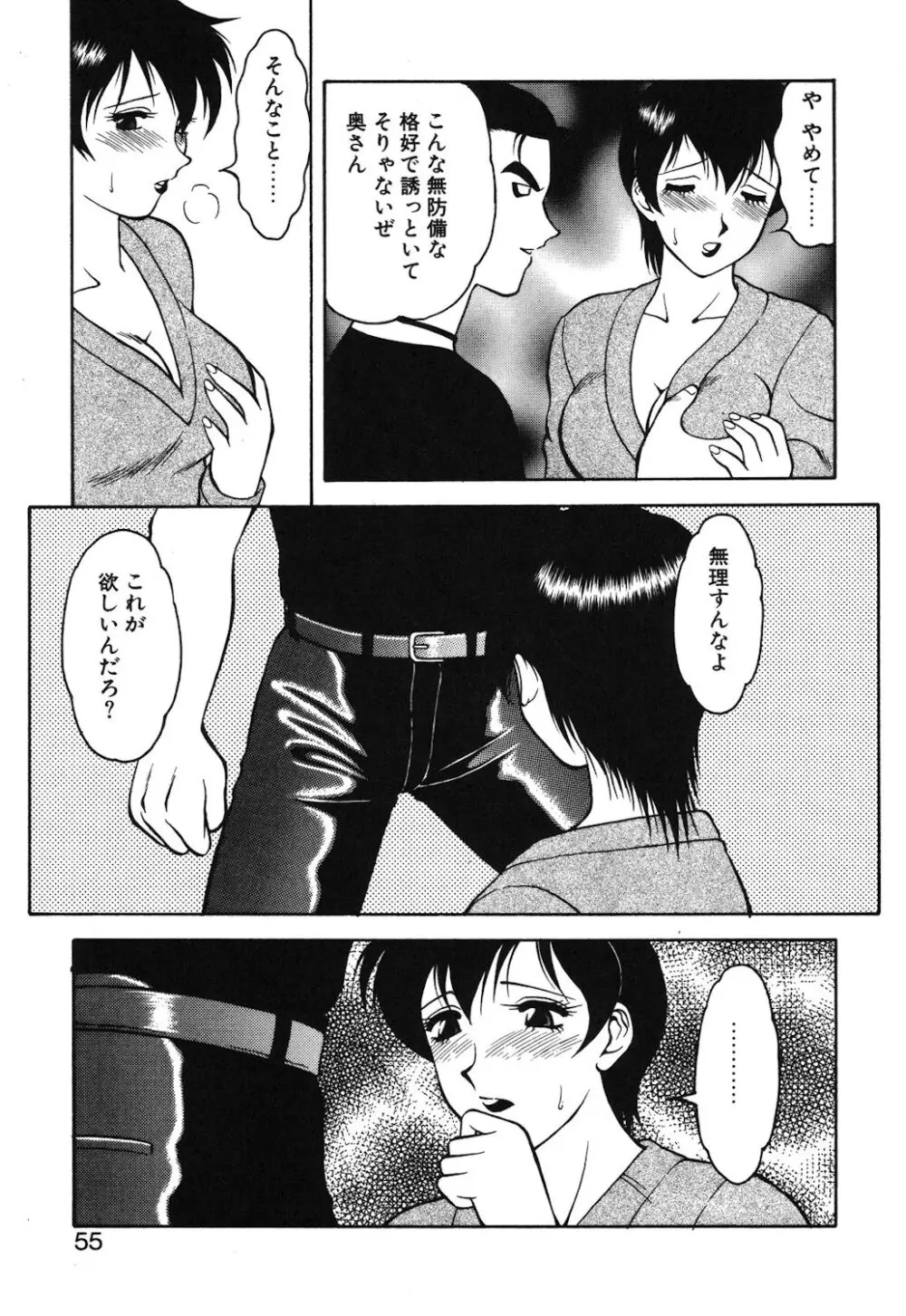 紫苑の夜 Page.52