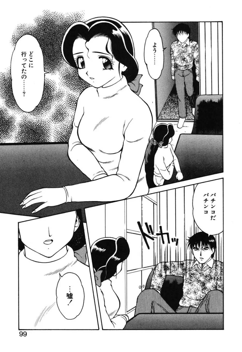 紫苑の夜 Page.96
