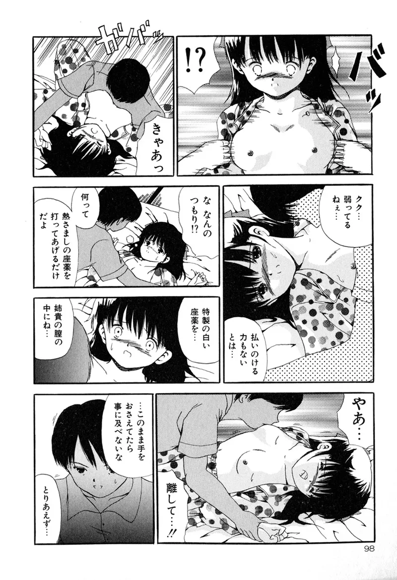 堕ちた果実たち Page.100
