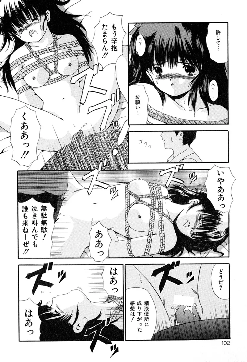 堕ちた果実たち Page.104