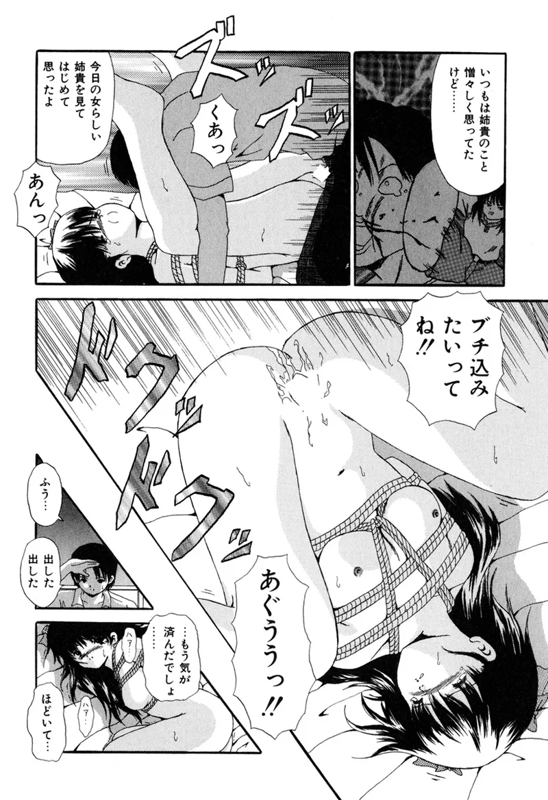 堕ちた果実たち Page.105