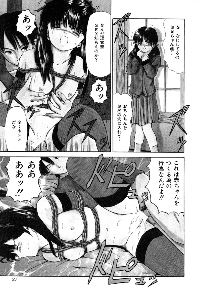堕ちた果実たち Page.29